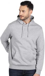 ABSOLUT HOODY, dukserica sa kapuljačom od organskog pamuka, 280 g/m2, pepeljasta; šifra artikla: 52.033.15