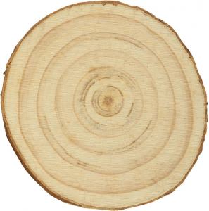 HOLLY, magnet, bež; šifra artikla: 34.522.71